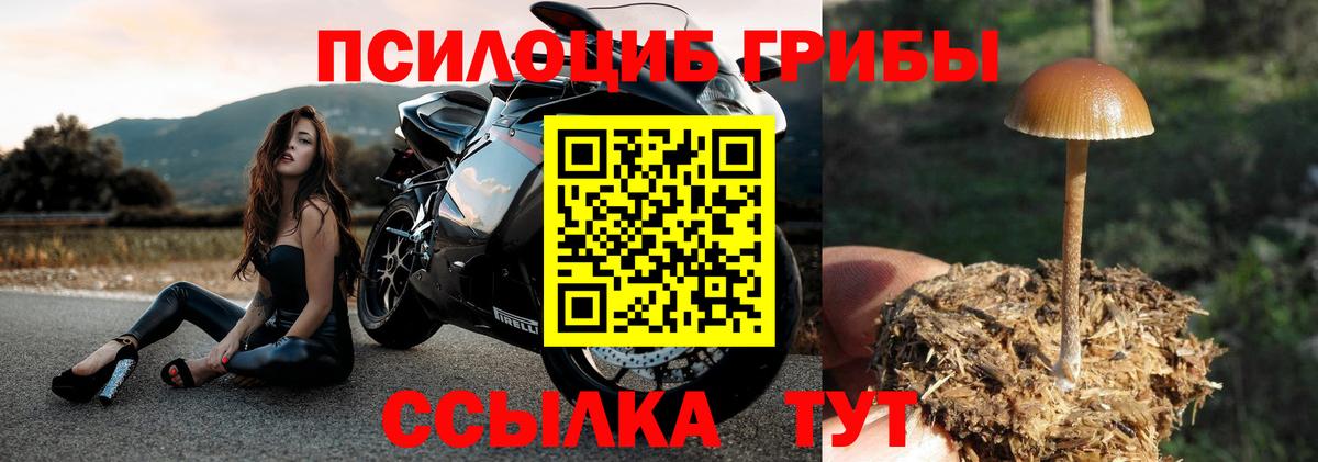 Псилоцибиновые грибы MAGIC MUSHROOMS Новокубанск